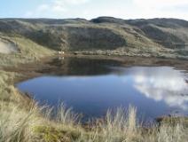 Sheskinmore NR - Cattle & Dune Slacks