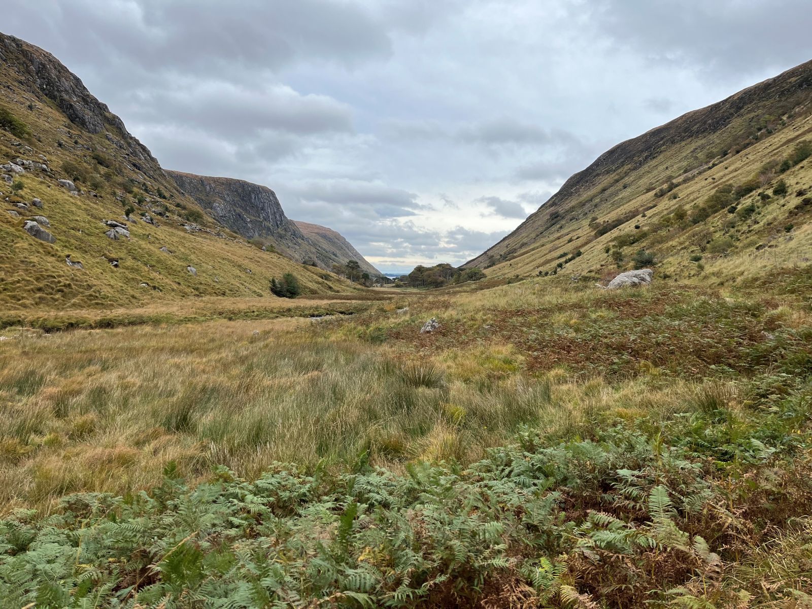 Cloghernagore bog in glenveagh national park