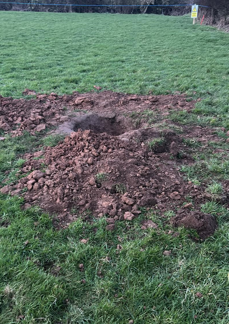 Badger Sett Distuurbed