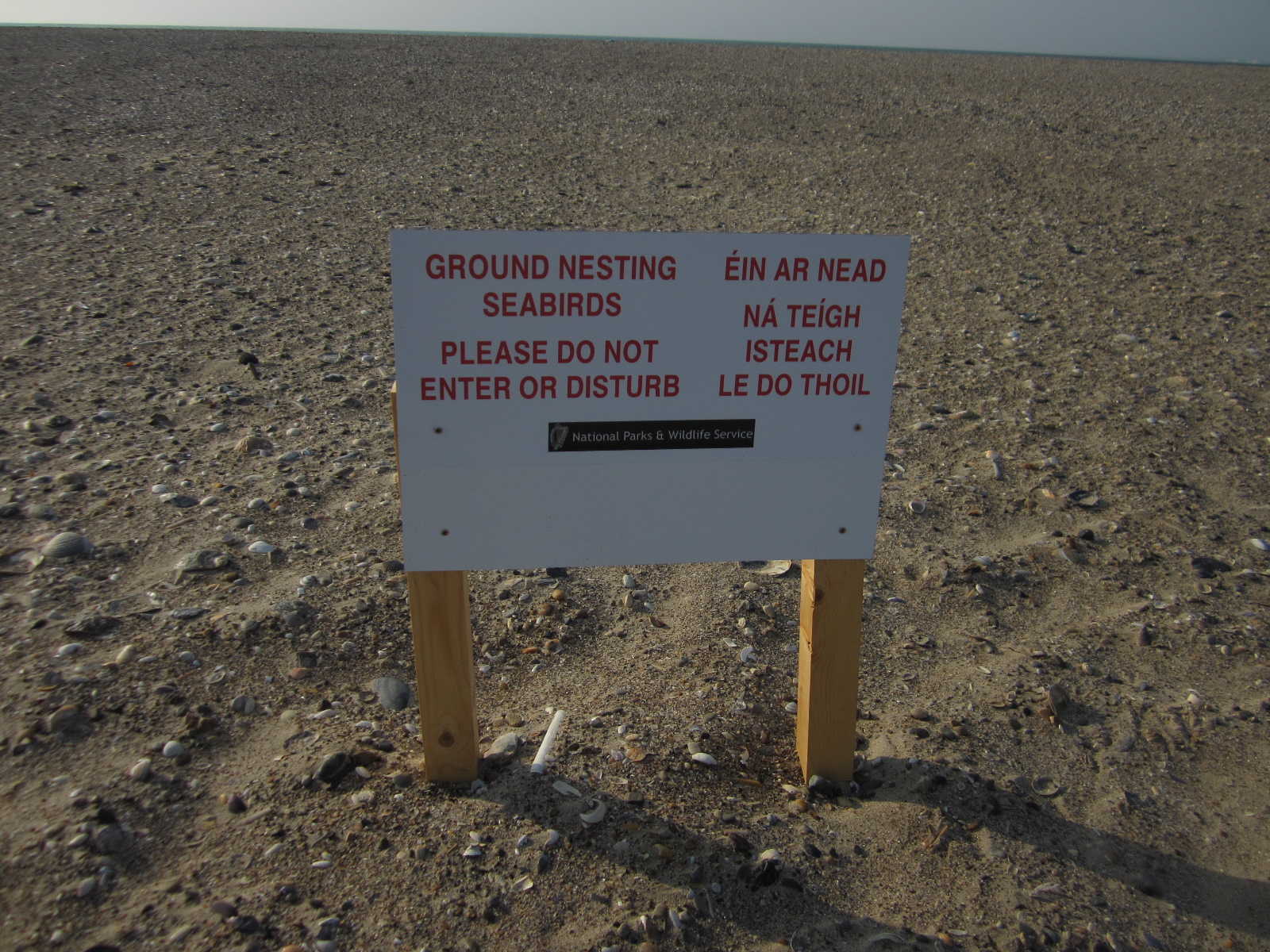 Ground Nesting Seabirds Signage