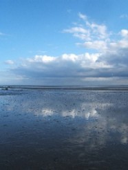 Photo of Dundalk Bay mudflat