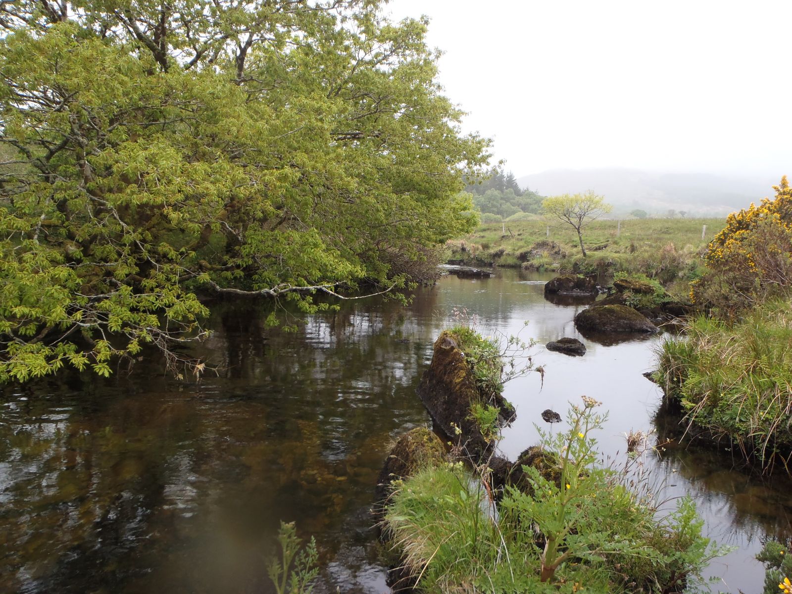 Kerry Riverscape