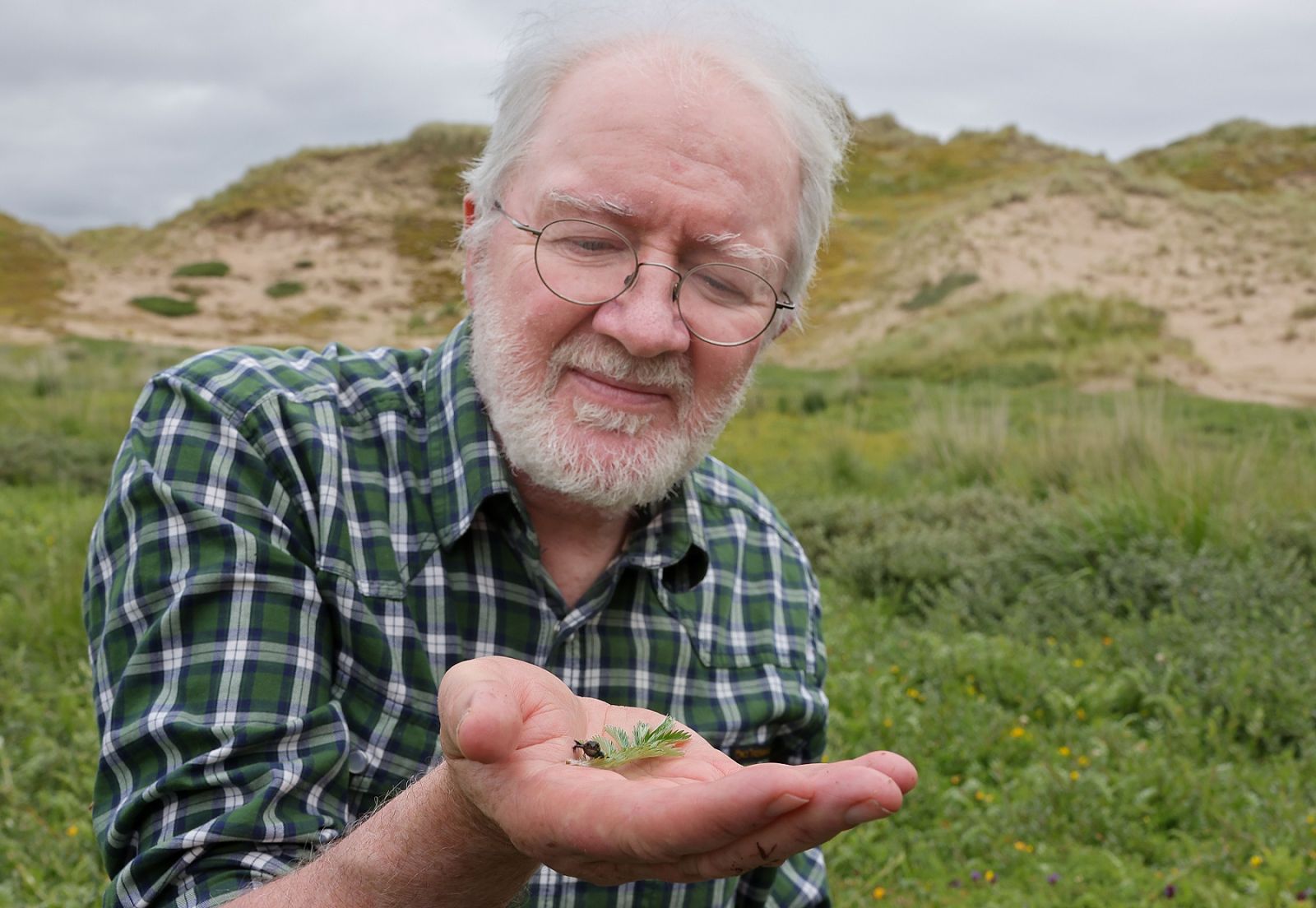 Minister Noonan and Natterjack Toad