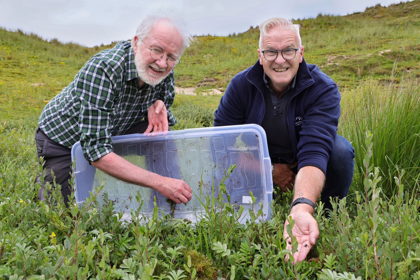 Niall O'Donnchu and Minister Noonan Release Natterjacks