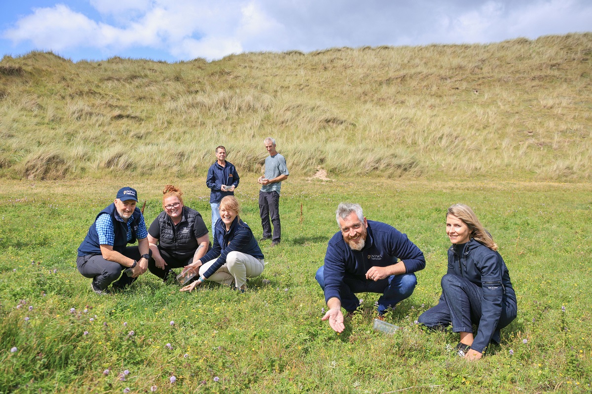 NPWS Team performing a Natterjack Toadlet Release
