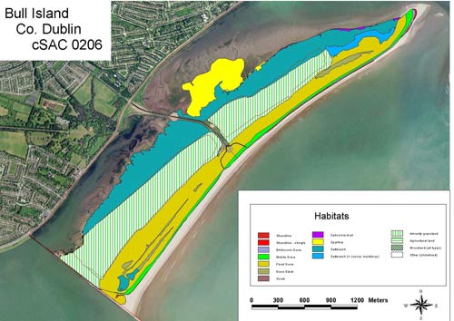 Photo of Habitat Map for Bull Island, Special area of Conservation, Co. Dublin Saltmarsh survey graphic
