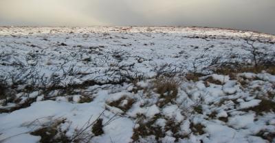 Winter on the Nature Reserve